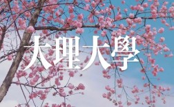 大理大学研究生凯发k8娱乐官网yjsc.dali.edu.cn