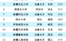 新疆211大学有几所 最牛的三所