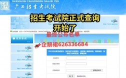 广西招生考试院网www.gxeea.cn