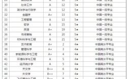 厦门大学985排名全国第几