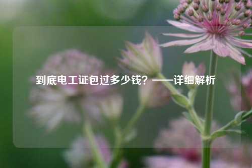 到底电工证*过多少钱？——详细解析-图1